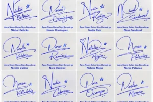 Collage de firmas con la letra N para nombres latinos con estilos manuscritos fáciles.