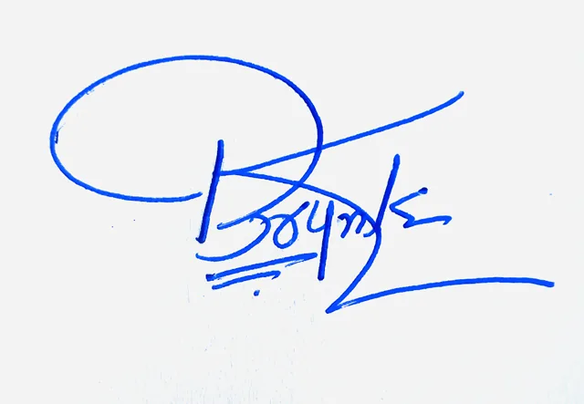 Brynlee creative signature ideas handwritten signature example in blue ink
