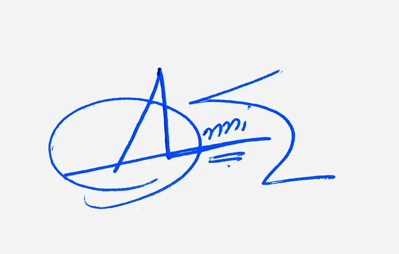Annie creative signature ideas handwritten signature example in blue ink