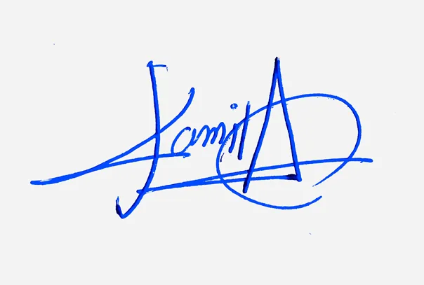 Kamila creative signature ideas handwritten signature example in blue ink
