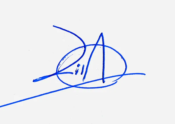 Lila creative signature ideas handwritten signature example in blue ink