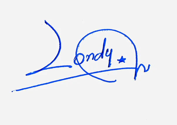 Londyn creative signature ideas handwritten signature example in blue ink