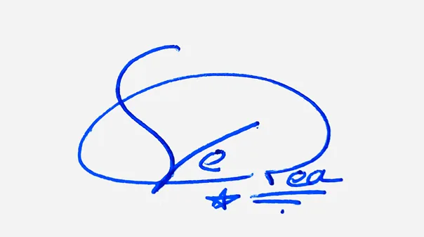 Vera creative signature ideas handwritten signature example in blue ink