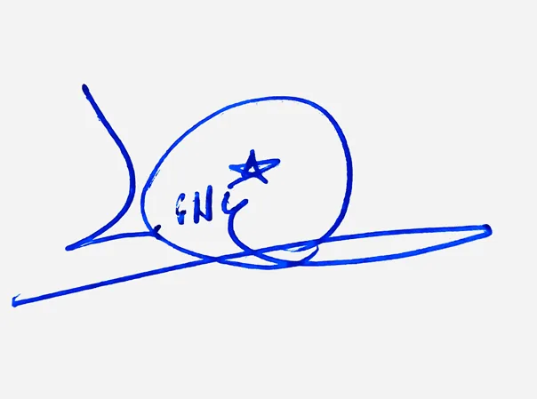 Lilly creative signature ideas handwritten signature example in blue ink