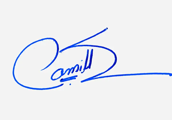 Camille creative signature ideas handwritten signature example in blue ink