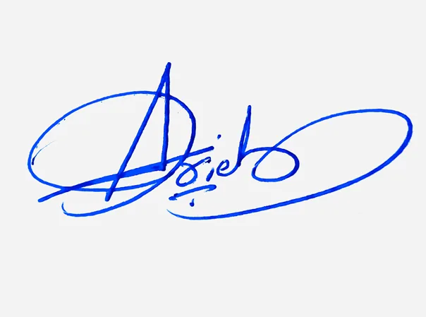 Ariel creative signature ideas handwritten signature example in blue ink