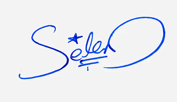 Selena creative signature ideas handwritten signature example in blue ink