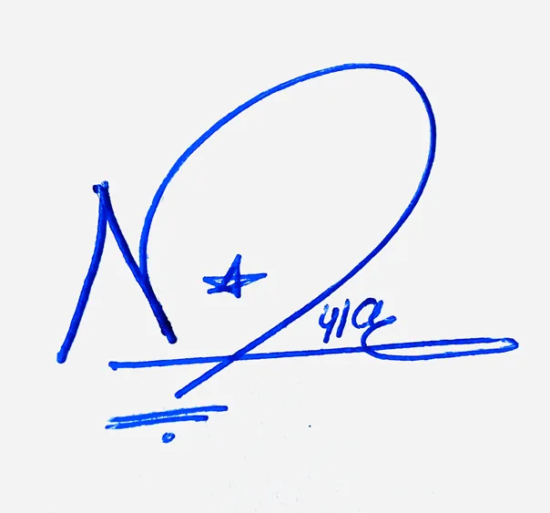 Nyla cursive name signature ideas handwritten signature example in blue ink
