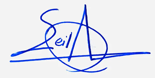 Leila cursive name signature ideas handwritten signature example in blue ink