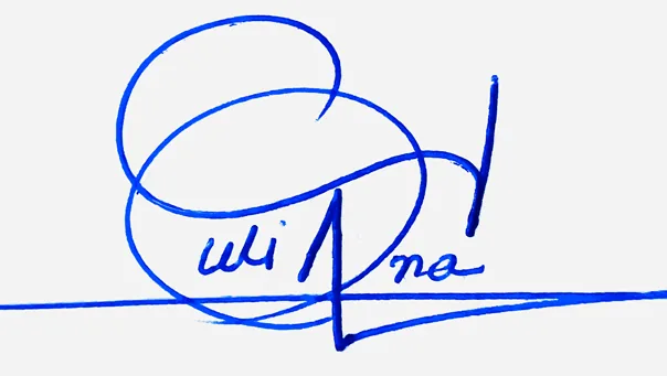 Julianna handwritten signature example in blue ink on white background