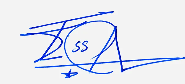 Tessa handwritten signature example in blue ink on white background