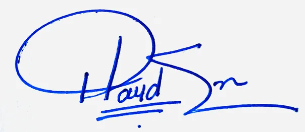 Hayden handwritten signature example in blue ink on white background