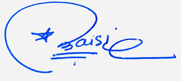Maisie handwritten signature example in blue ink on white background