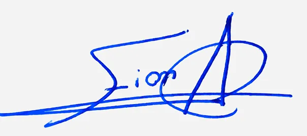 Fiona handwritten signature example in blue ink on white background