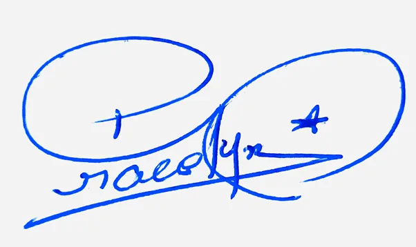 Gracelynn handwritten signature example in blue ink on white background