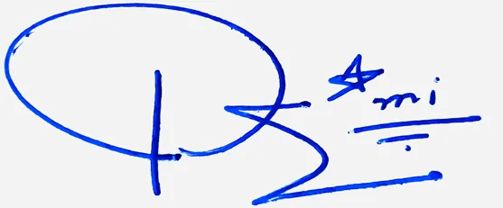 Demi handwritten signature example in blue ink on white background