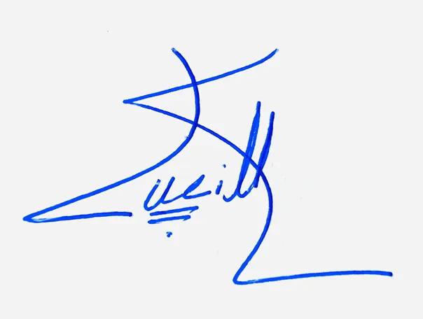 Lucille handwritten signature example in blue ink on white background