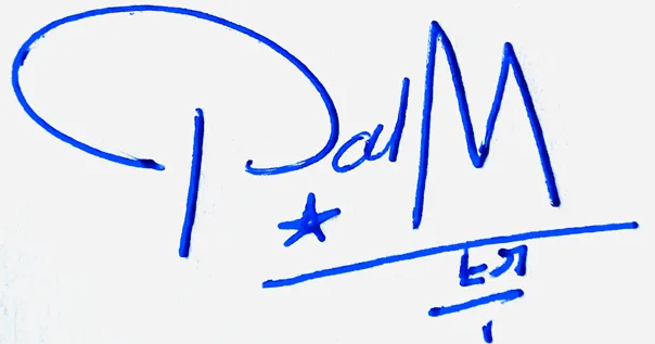 Palmer handwritten signature example in blue ink on white background