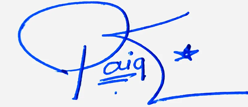 Paige handwritten signature example in blue ink on white background