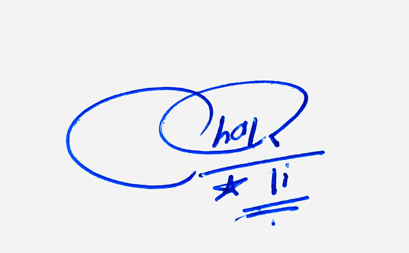 Charli handwritten beautiful signature ideas
