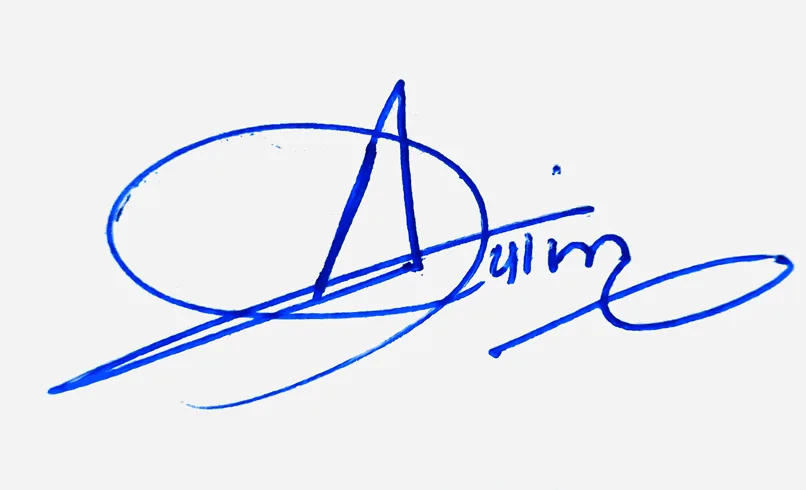 Aylin handwritten signature example in blue ink on white background