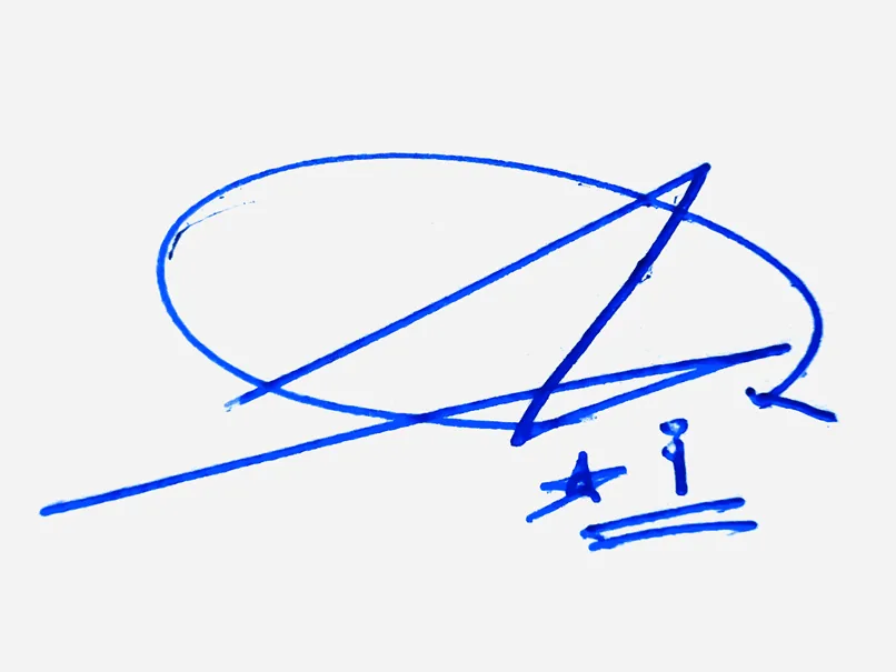 Ari handwritten signature example in blue ink on white background