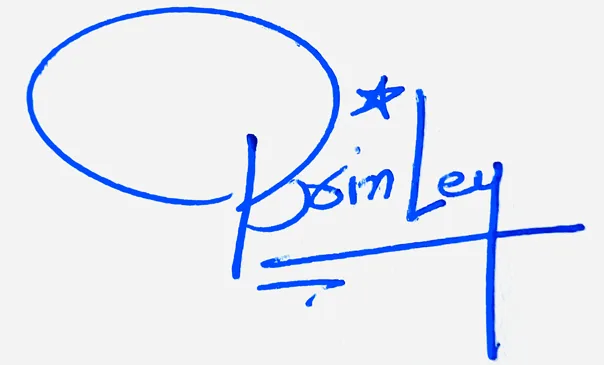 Brinley Name Handwritten Online handwritten signature example in blue ink on white background