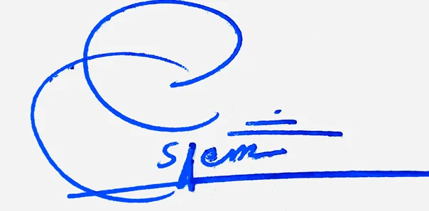 Salem Name Handwritten Online handwritten signature example in blue ink on white background