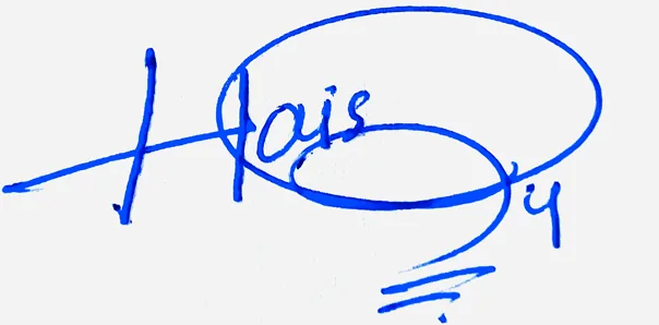 Haisley Name Handwritten Online handwritten signature example in blue ink on white background