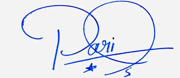 Paris online signature ideas handwritten signature example in blue ink