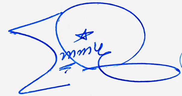 Emmy online signature ideas handwritten signature example in blue ink