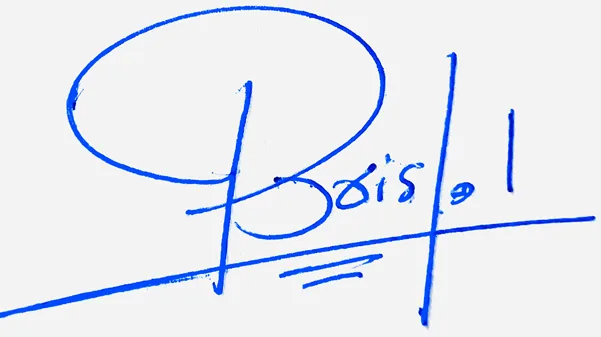 Bristol online signature ideas handwritten signature example in blue ink