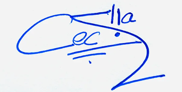 Cecelia signature making ideas handwritten signature example in blue ink