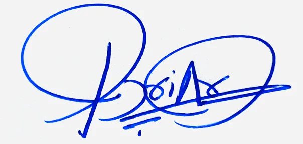 Briar signature making ideas handwritten signature example in blue ink