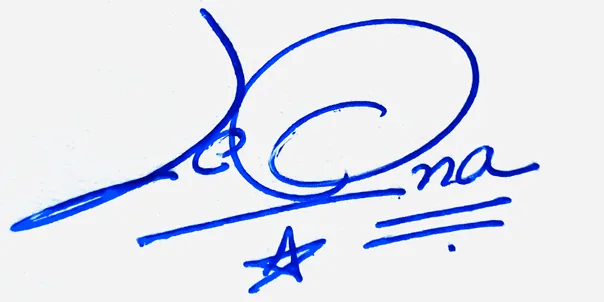 Leona signature making ideas handwritten signature example in blue ink