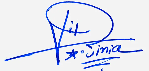 Virginia signature making ideas handwritten signature example in blue ink