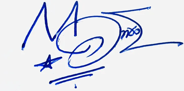Monroe signature making ideas handwritten signature example in blue ink