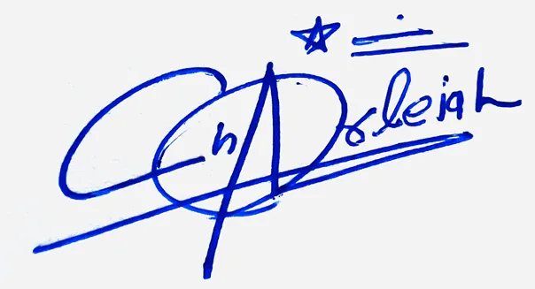Charleigh signature making ideas handwritten signature example in blue ink