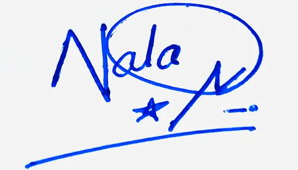 Nalani signature making ideas handwritten signature example in blue ink