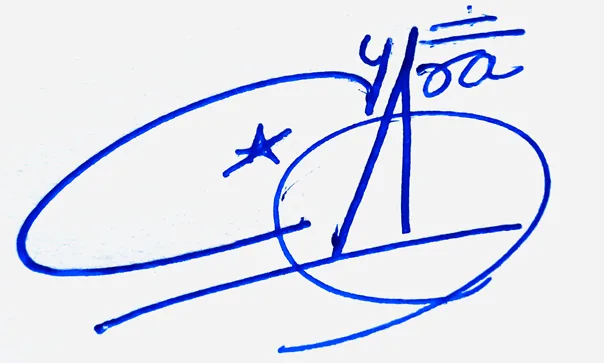 Yara cursive writing signature ideas handwritten signature example in blue ink