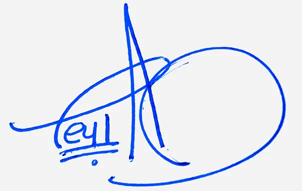 Leyla cursive writing signature ideas handwritten signature example in blue ink