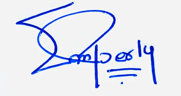 Emberly cursive writing signature ideas handwritten signature example in blue ink