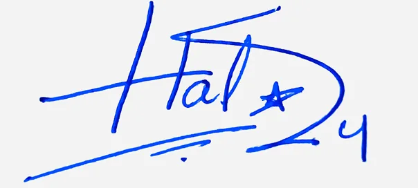 Haley handwritten signature designer handwritten signature example in blue ink