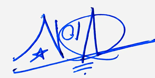 Nola handwritten signature designer handwritten signature example in blue ink