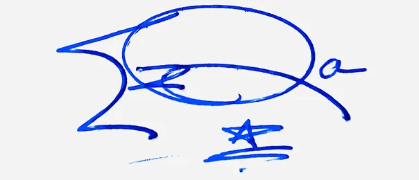 Ezra signature ideas for my name handwritten signature example in blue ink