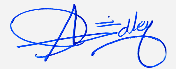 Adley Name Cursive Handwriting Signature Style Ideas