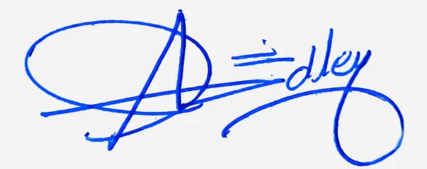 Adley signature ideas for my name handwritten signature example in blue ink