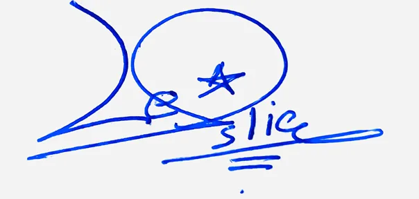 Leslie signature ideas for my name handwritten signature example in blue ink