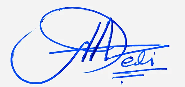 Yareli signature ideas for my name handwritten signature example in blue ink