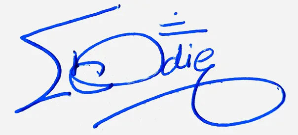 Elodie professional signature ideas handwritten signature example in blue ink